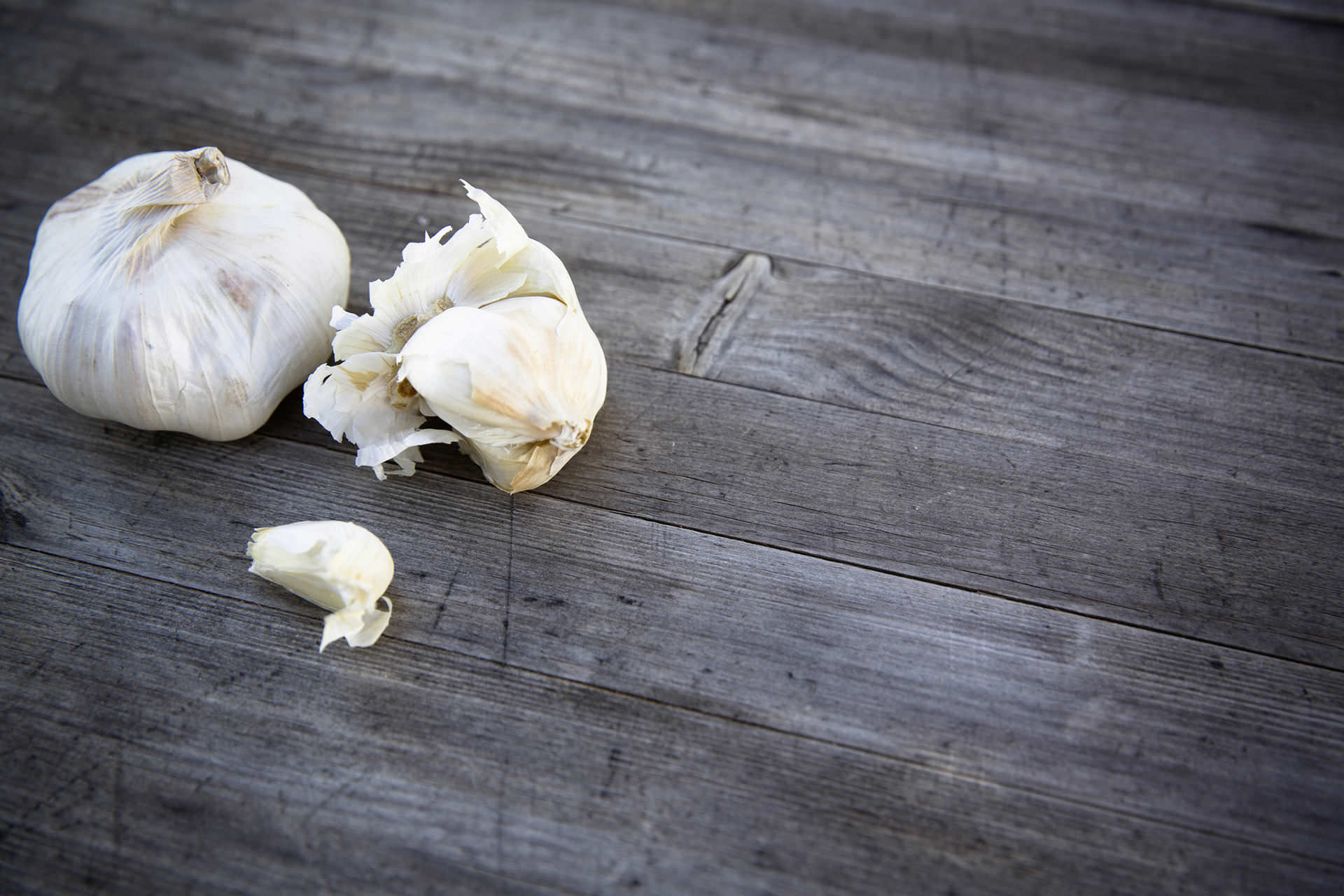 Pionerånden er intakt