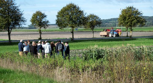Lammefjordens besøgsmark