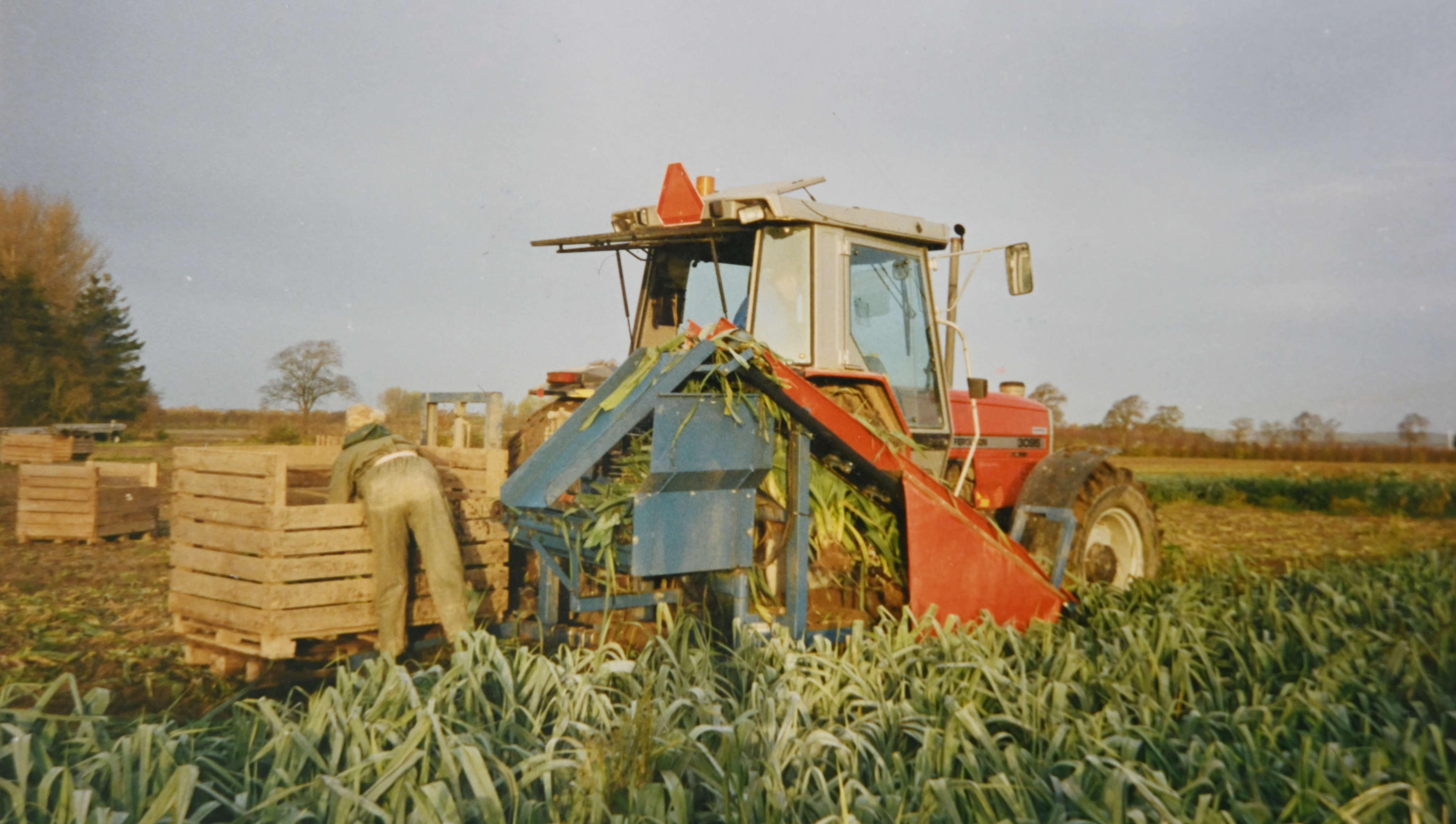 <h1>Grøntsagslaugets historie - det begyndte med porrer og en sekser</h1>
