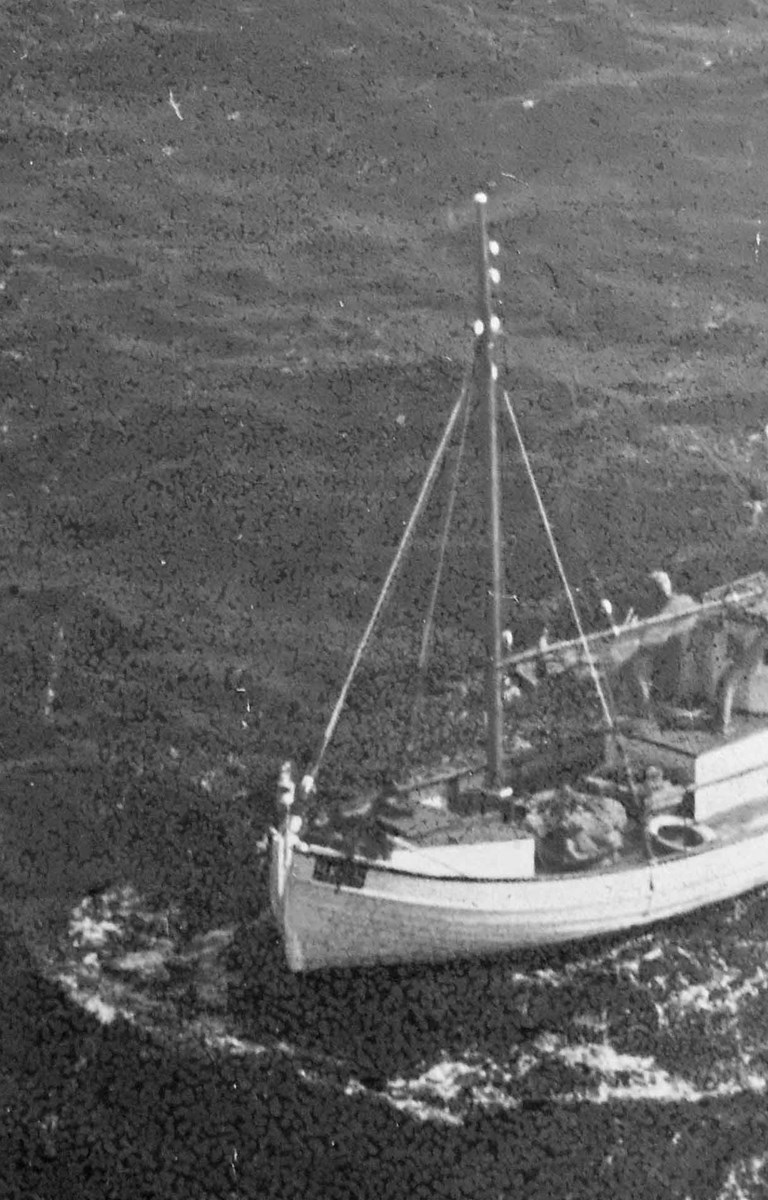 <h1>Da erhvervsfiskere sejlede på Lammefjorden</h1>