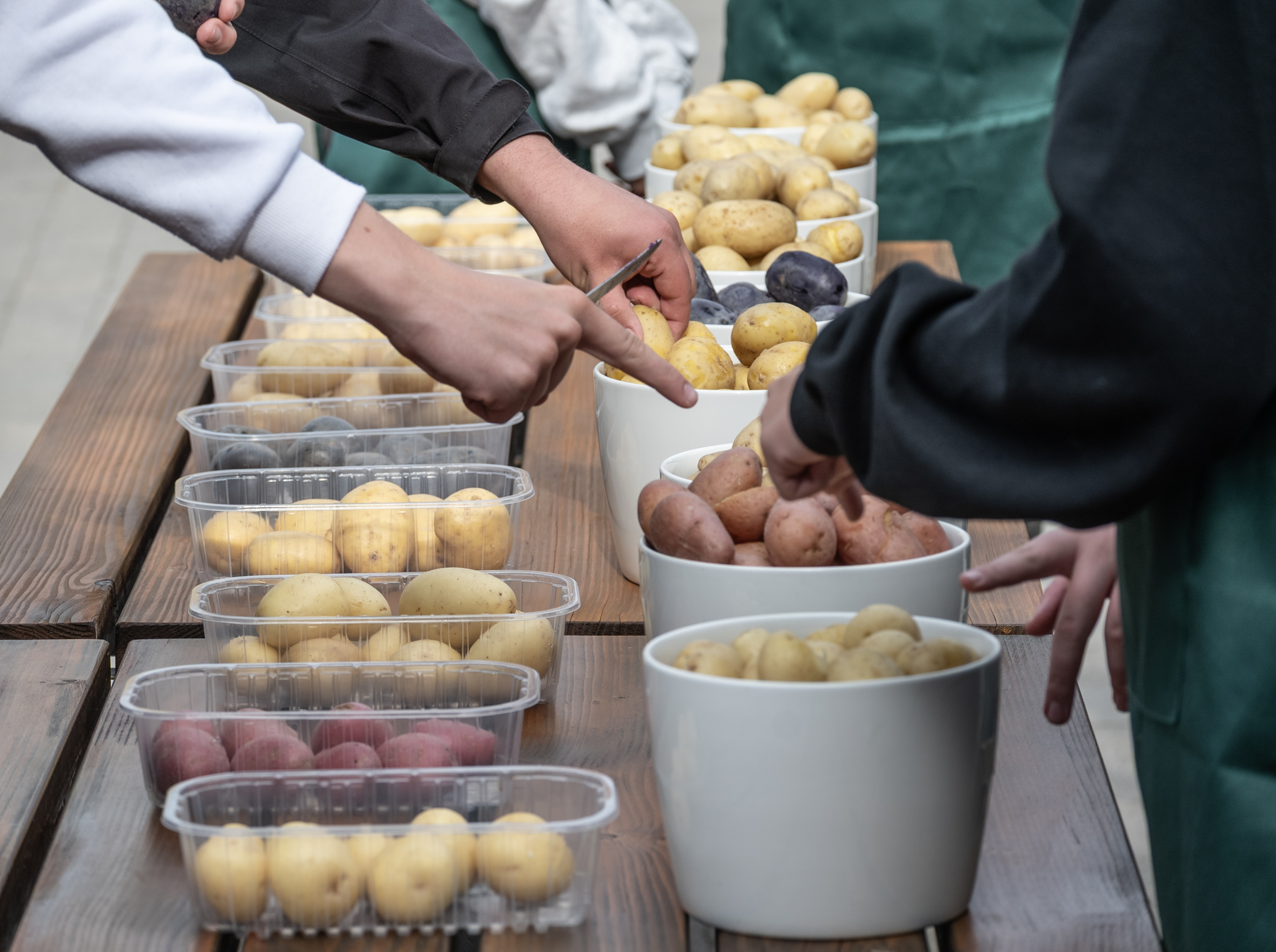 Så er grand cru finalisterne fundet