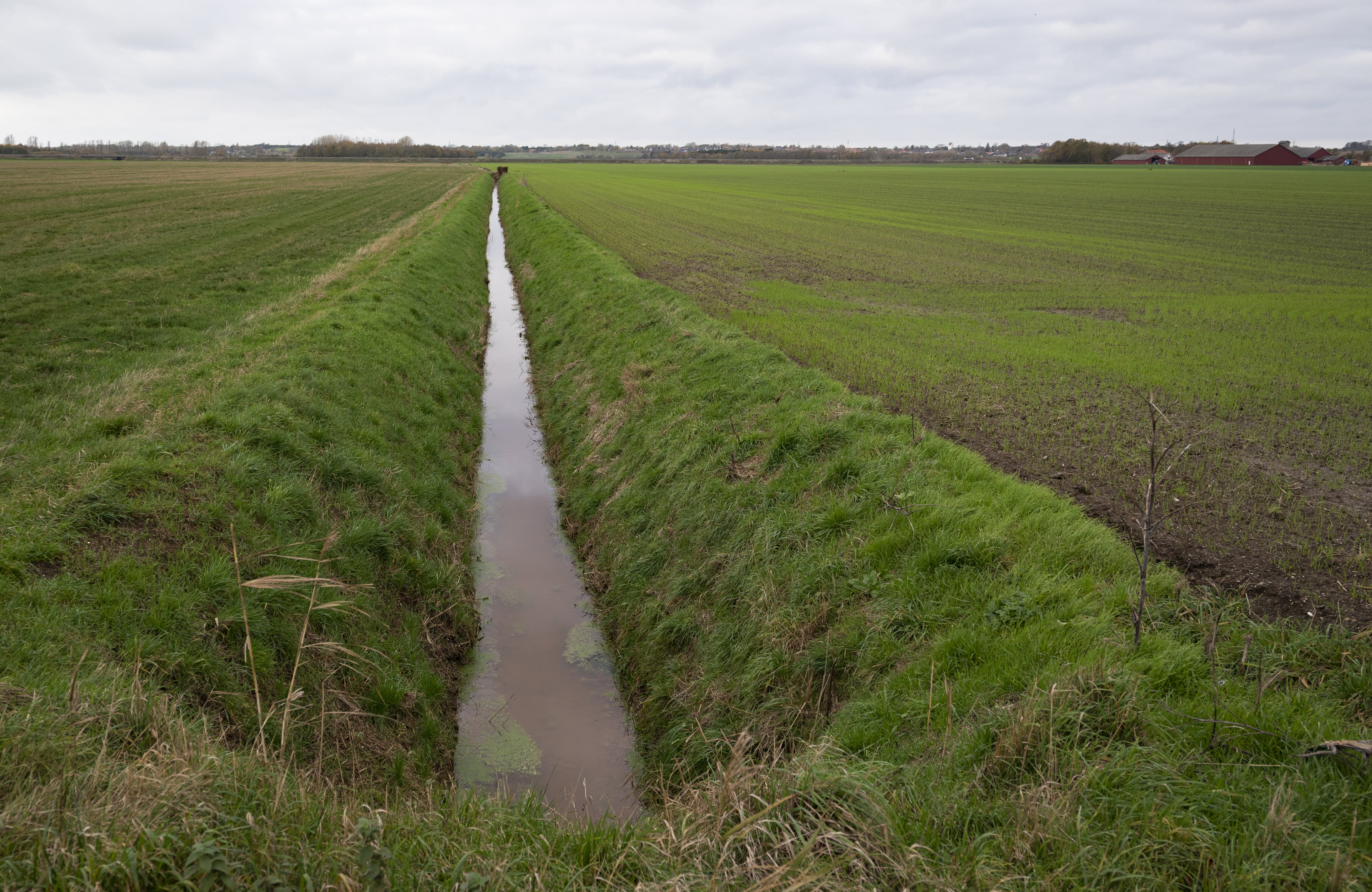 <h1>Da tyskerne ville oprette flyveplads på den gamle fjordbund</h1>