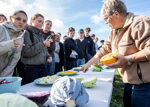 Lammefjordens besøgsmark
