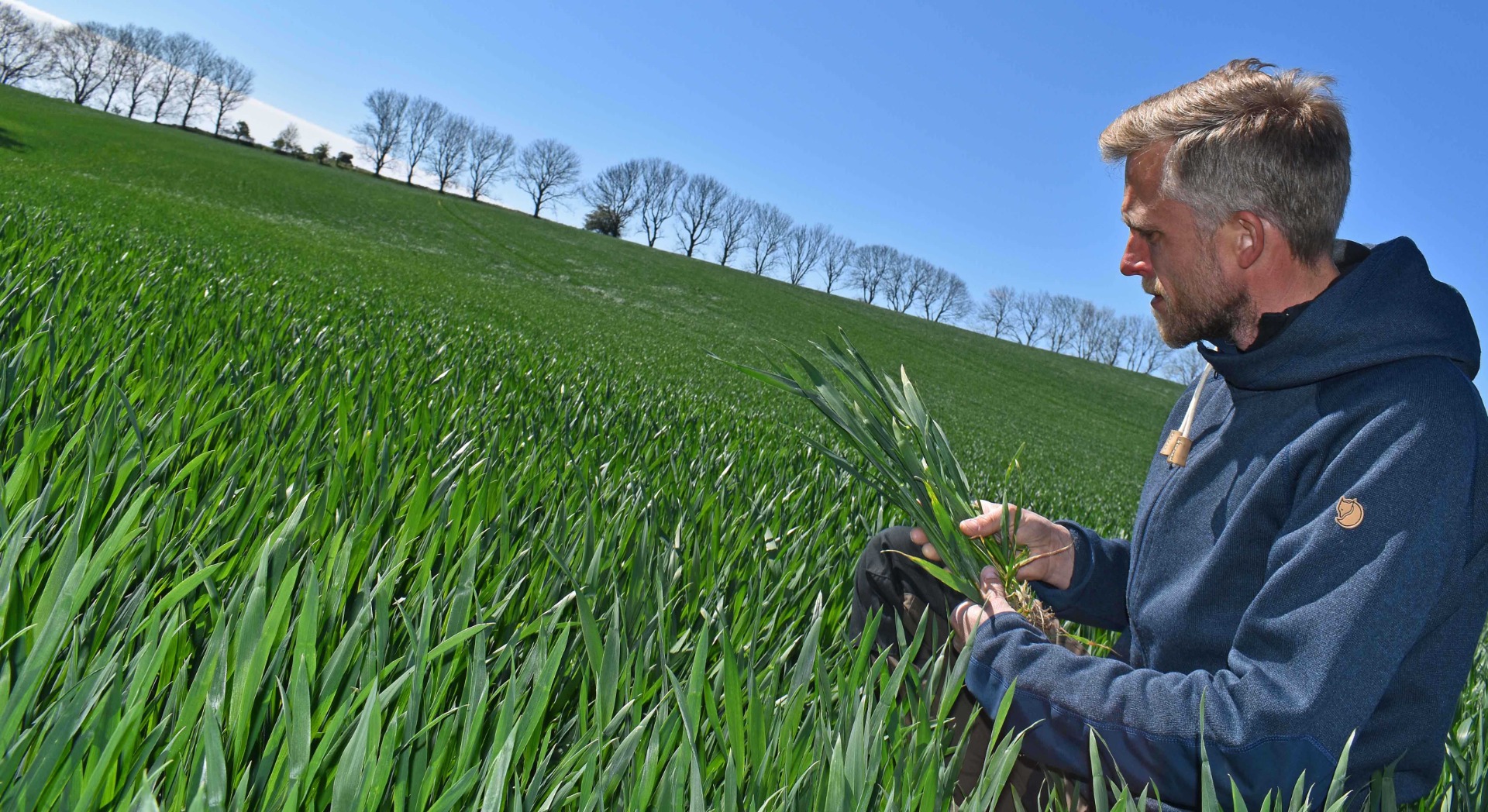 <h1>Passion for gode fødevarer</h1>