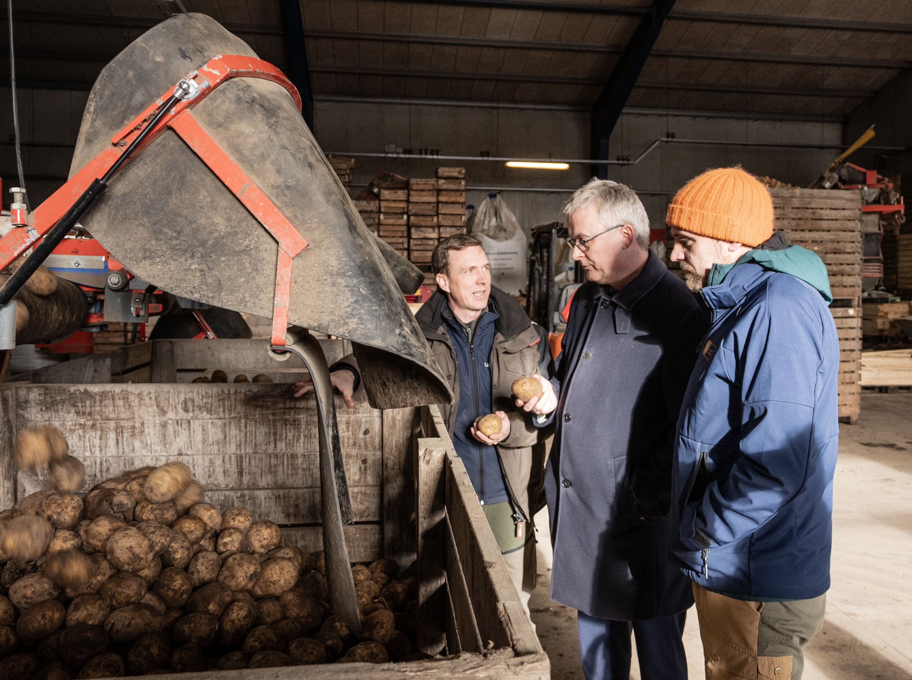 Vi skal have mere dansk frugt og grønt