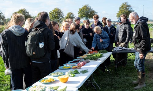 Lammefjordens besøgsmark