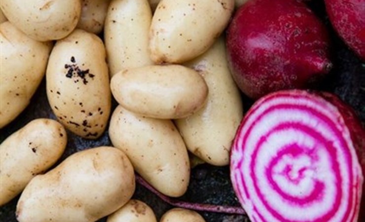 Kartofler bør med i kosten flere gange om ugen