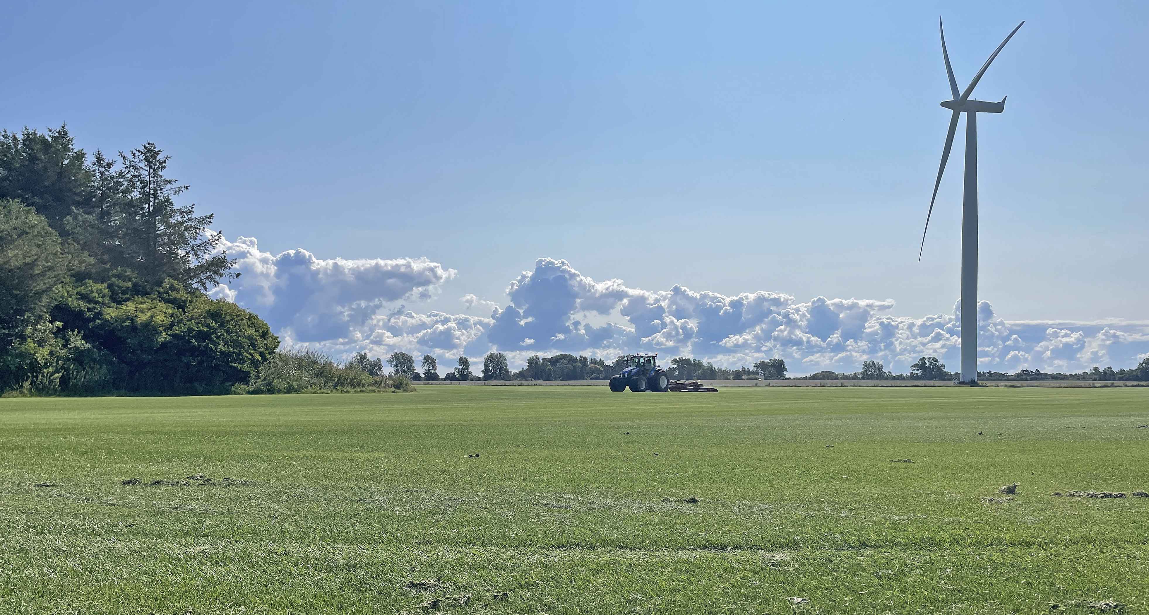 <h1>ENDNU EN GRØN SPECIALITET: RULLEGRÆS FRA LAMMEFJORDEN</h1>