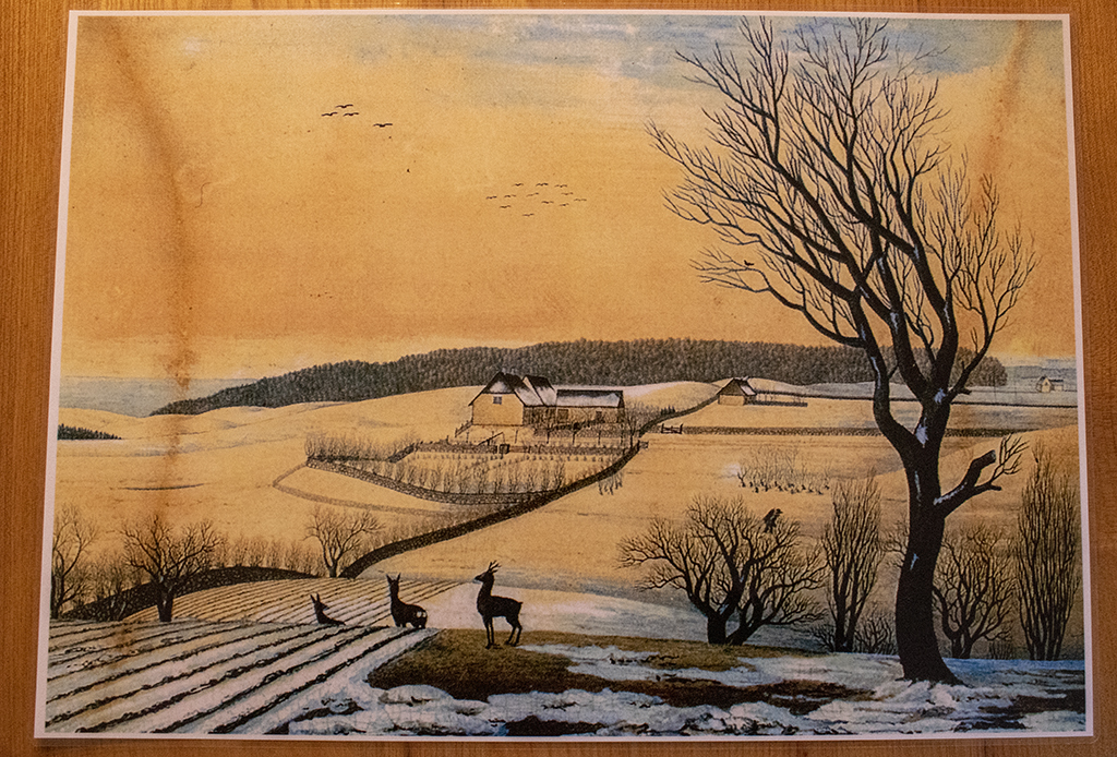 <h1>Podcast om to naturperler: Grevinge Skov og Sidinge Fjord</h1>