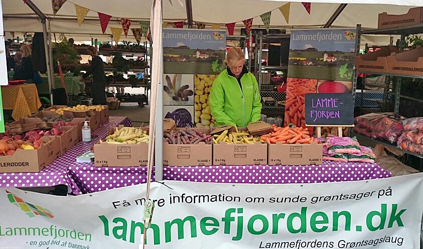 Oplev Lammefjorden på vores events